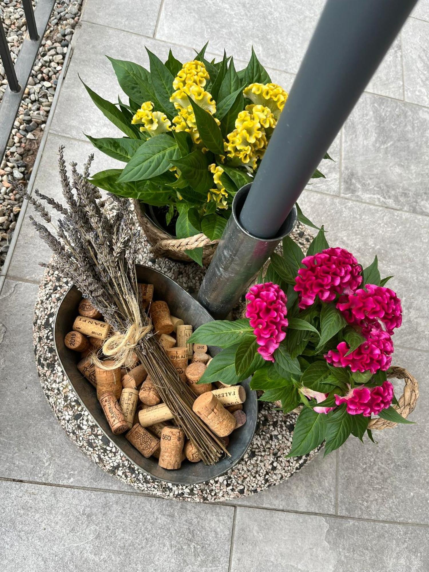 Sveva Haven Malpensa Bed & Breakfast คาเซ นูโอเว ภายนอก รูปภาพ